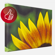 foto-leinwand-drucken-lassen Foto-Leinwand-drucken-lassen-guenstig