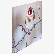 Bedruckte Leinwand, Format 50 x 50 cm Seitenansicht einer bedruckten Leinwand, Format quadratisch 50 x 50 cm