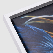 Leinwand mit weißem Schattenfugenrahmen Quadratische Leinwand mit weißem Schattenfugenrahmen